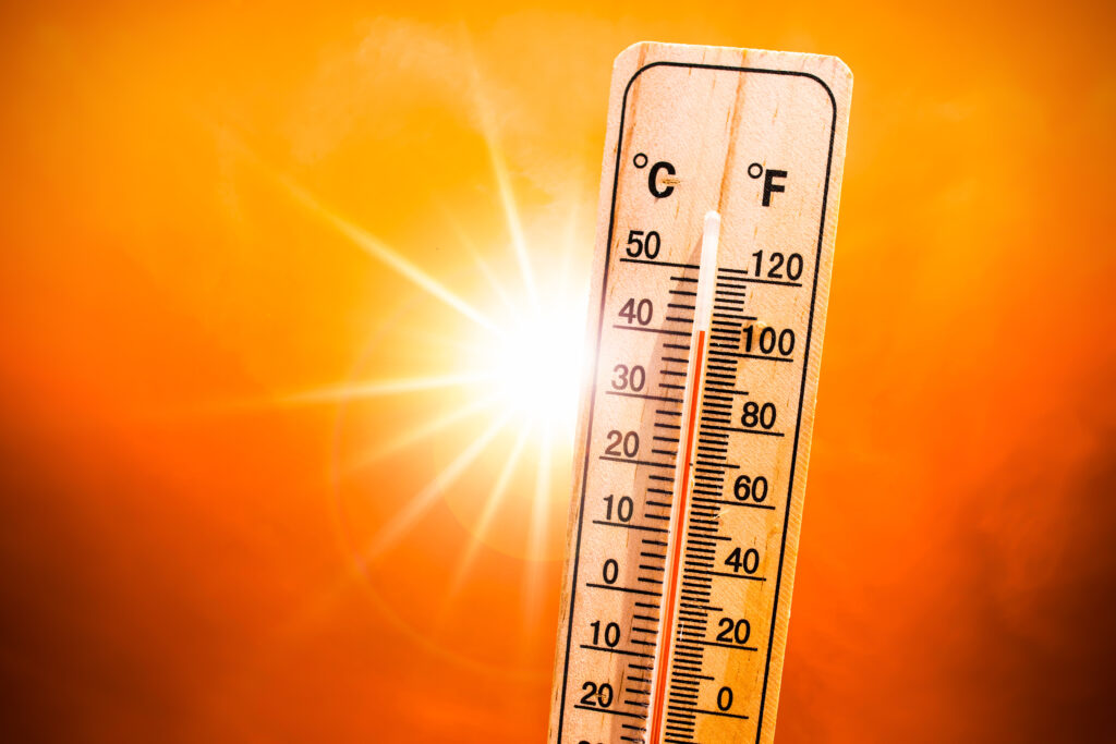 How to Lower Your Energy Bills This Summer Without Sacrificing Comfort
